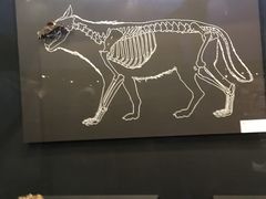 -北京周口店北京人遗址博物馆