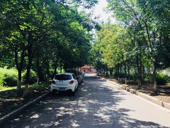 -吉林大学(前卫南区)