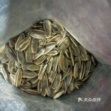 一元一斤瓜子[礼花]