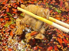-味之绝热血美蛙鱼火锅(中坝店)