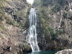 -龙湾潭国家森林公园