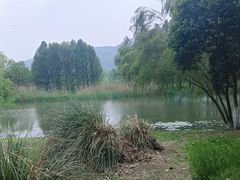 -长广溪湿地公园