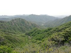 -大岭沟猕猴桃谷风景区