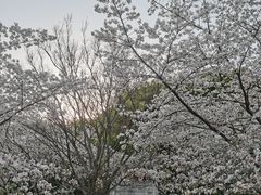 -苏州上方山国家森林公园