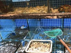 水产区-大宅院(西溪路店)