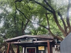 -马王堆汉墓遗址