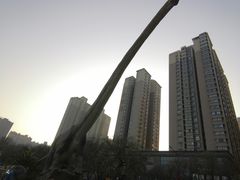 -陕西自然博物馆