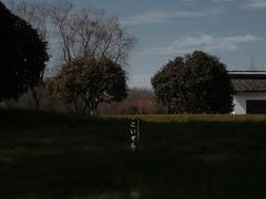 -贡湖湾湿地公园