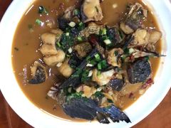 -全乐鱼馆·淳牌有机鱼直营店