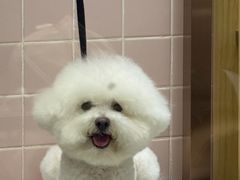-FAELING PETS美天灵宠物(富力广场店)
