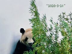 -杭州动物园