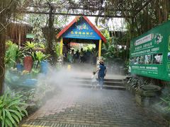 -呀诺达热带雨林