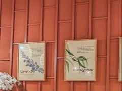 -LANN I 蘭·泰式古法按摩(高岛屋百货店)