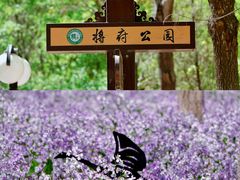-将府公园