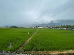 -喜林苑·稻田餐厅(品相府店)