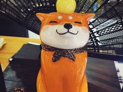 -柴务处·柴犬主题狗咖