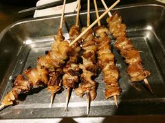 -西单翅酷(西单店)