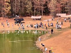 -青龙山国家森林公园