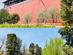 -故宫博物院(故宫)