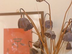 -不问豆腐(朝山街店)