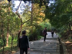 -青岛崂山太清宫