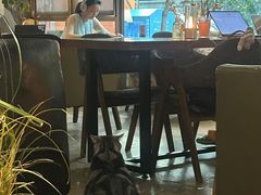 -咖法森林·咖啡  酒吧(天河店)