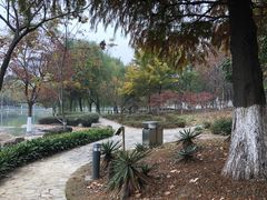 景点-白塘生态植物园