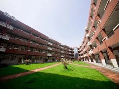 -中加枫华国际学校