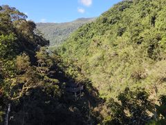 -海南热带雨林国家公园吊罗山景区