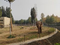 -石家庄市动物园