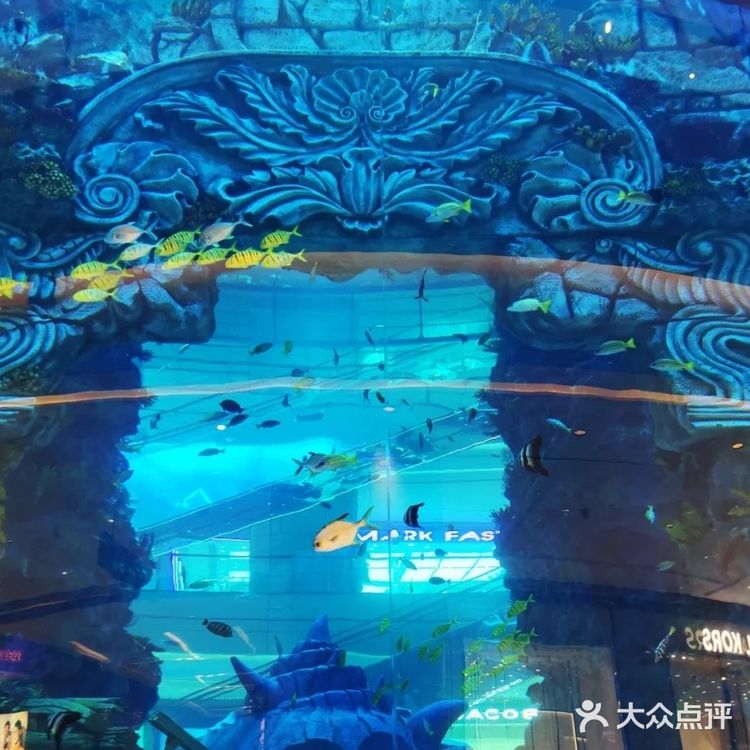 重庆观音桥|星光68广场溜娃or逛街