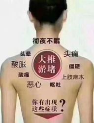 -香薇妮丝女子减肥院