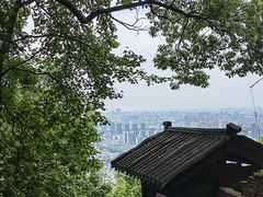 -惠山国家森林公园