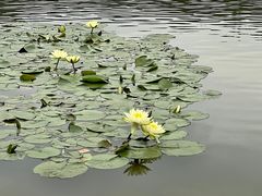 -北京师范大学(珠海校区)