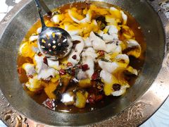 金牌水煮草鱼-雲蜀龙阁·金牌水煮鱼(方庄店)