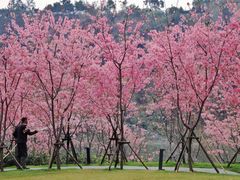 -福建鲤鱼洲酒店
