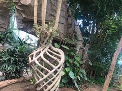 -石家庄市植物园