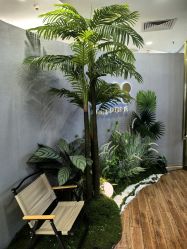 -八佰伴8008星级形象店