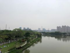 -顺峰山公园