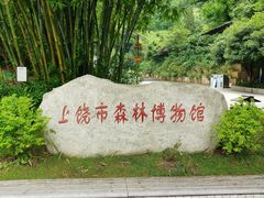 -云碧峰国家森林公园
