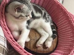 -宠颐生中康贝怡动物医院