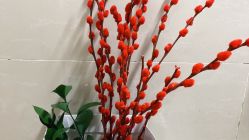 -Oasis Beauty水磨坊科技美肤中心