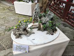 -汇龙潭