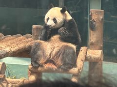 -大连森林动物园