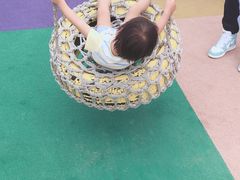 -春花秋色城市公园