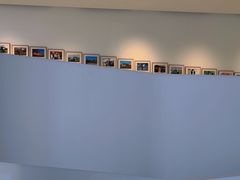 -罗红摄影艺术馆