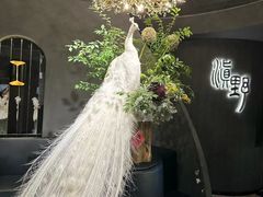 -滇野云南野生菌餐厅(陕西南路店)