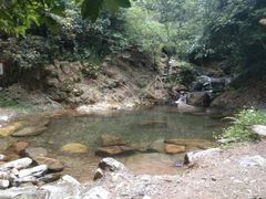 -羚羊峡古栈道森林公园