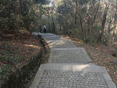 -苏州上方山国家森林公园