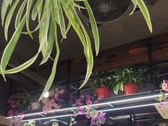 -谢三姐金奖啤酒鱼(总店)